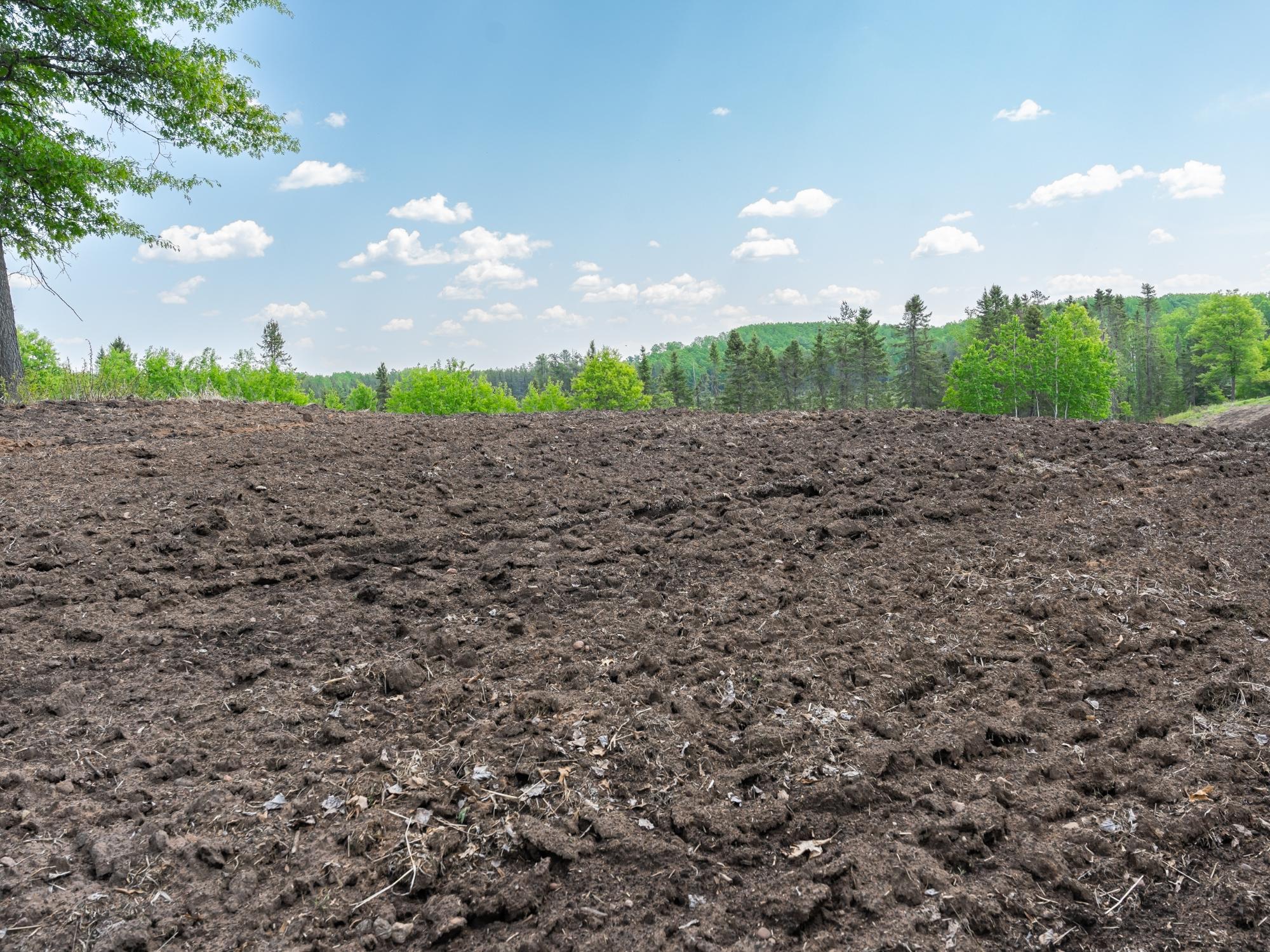 Undocumented Lake Property 4017 Hwy 51 Photo 88