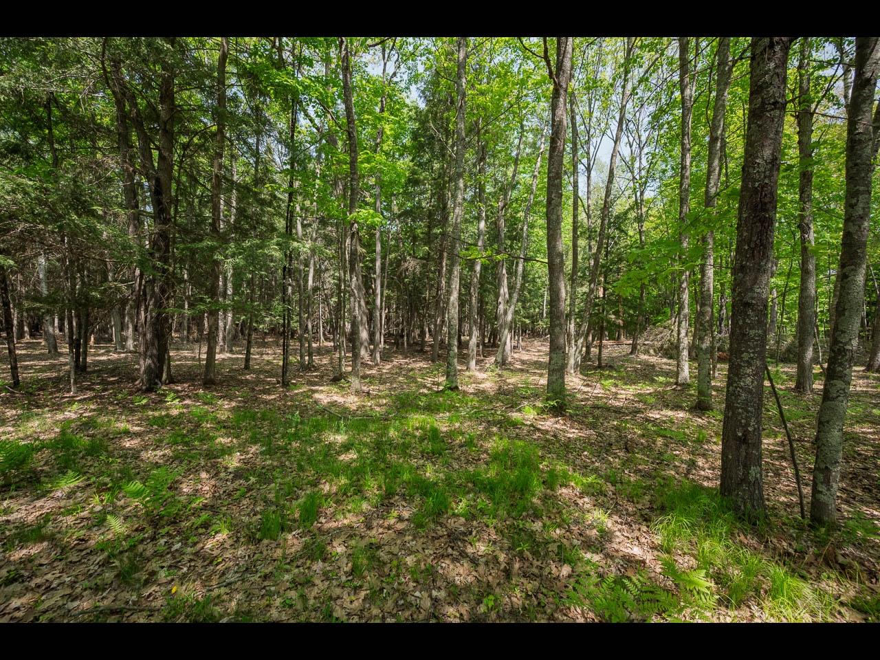 Clearwater Lake Property Lot 22 Bonita Pt Photo 4