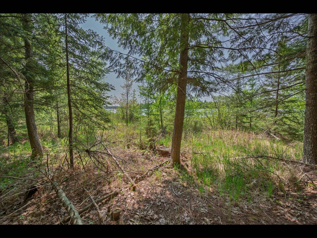 Clearwater Lake Property Lot 22 Bonita Pt Photo 5