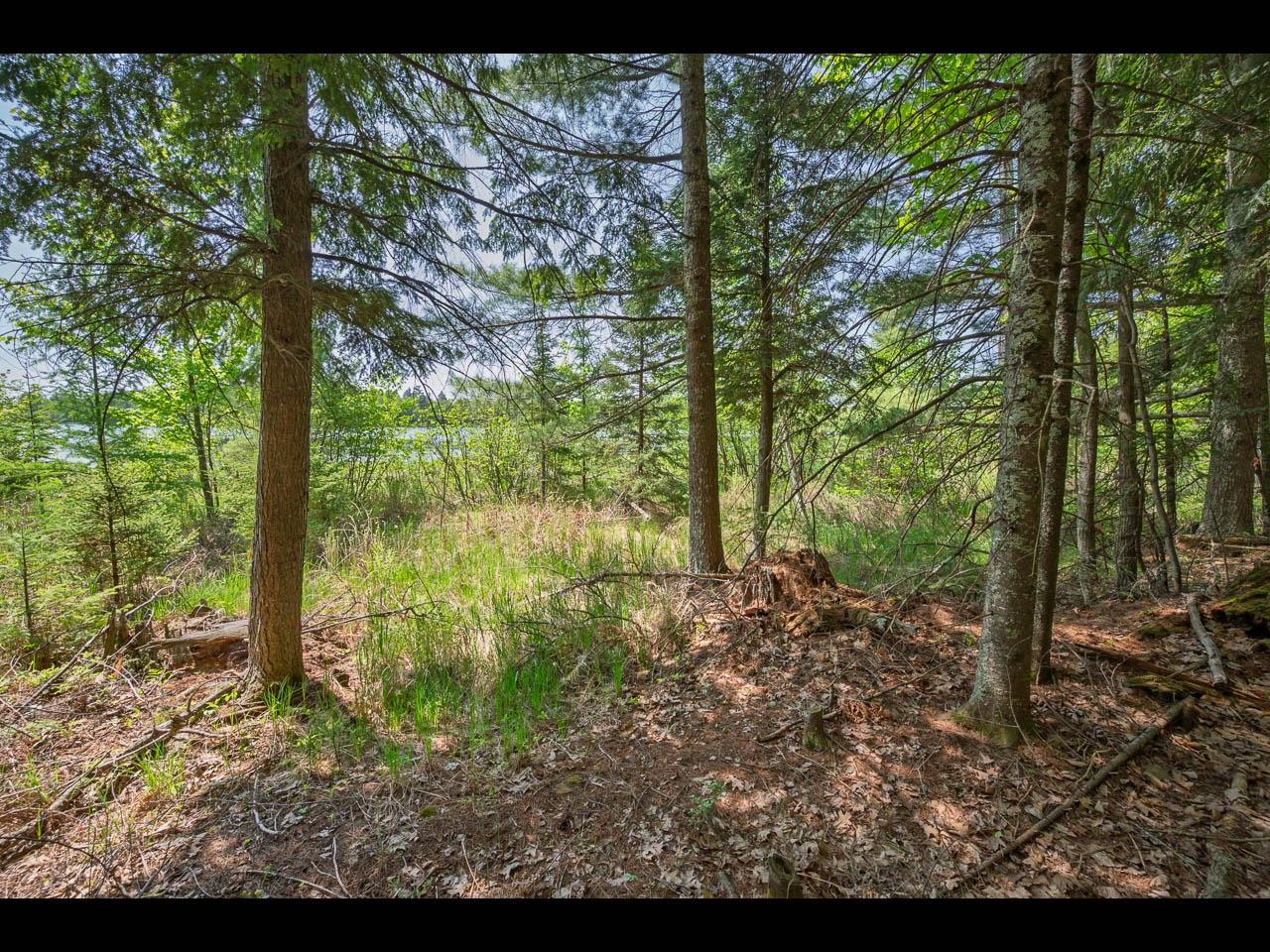 Clearwater Lake Property Lot 22 Bonita Pt Photo 6