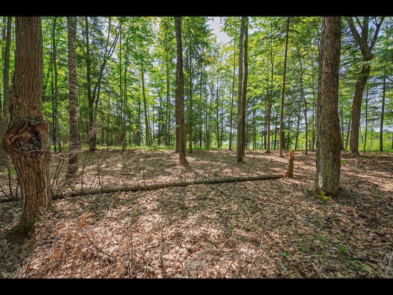 Clearwater Lake Property Lot 22 Bonita Pt Photo 8