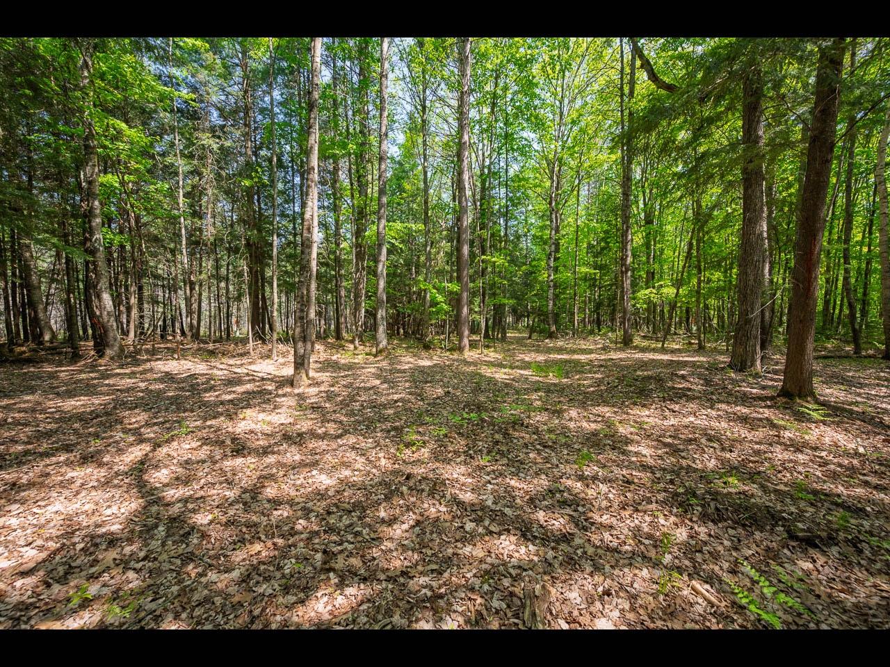 Clearwater Lake Property Lot 22 Bonita Pt Photo 9