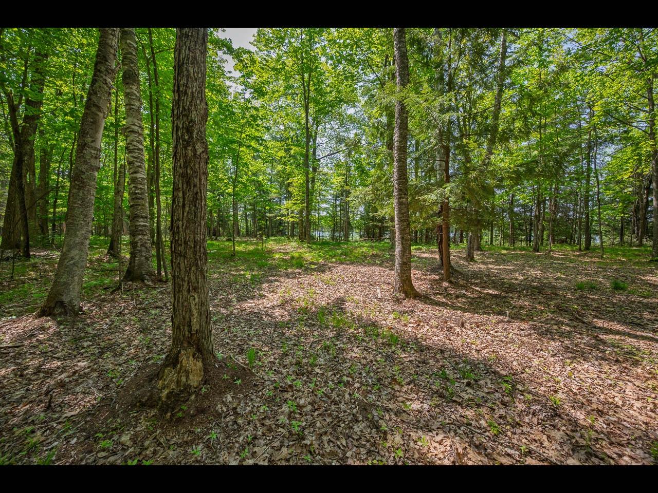 Clearwater Lake Property Lot 23 Bonita Pt Photo 4