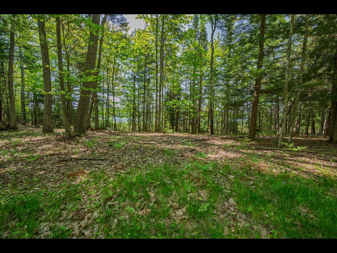 Clearwater Lake Property Lot 23 Bonita Pt Photo 5
