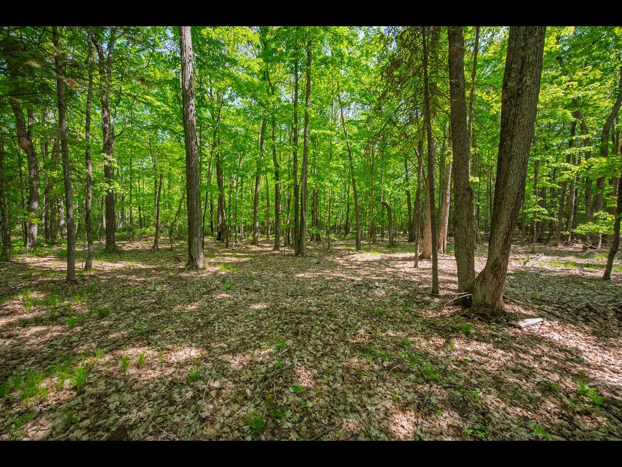 Clearwater Lake Property Lot 24 Bonita Pt Photo 4