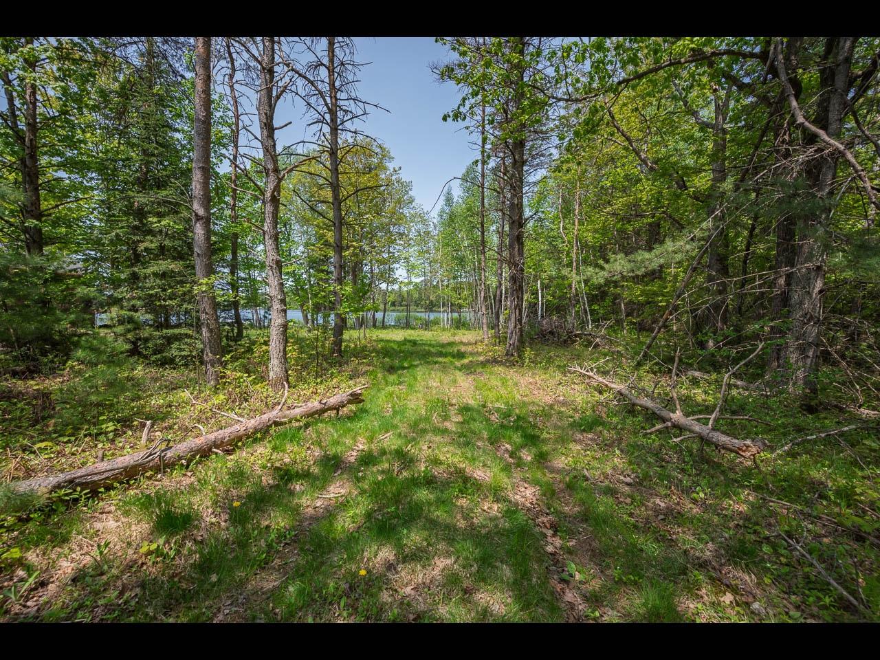 Clearwater Lake Property Lot 56 St Marys Rd Photo 5