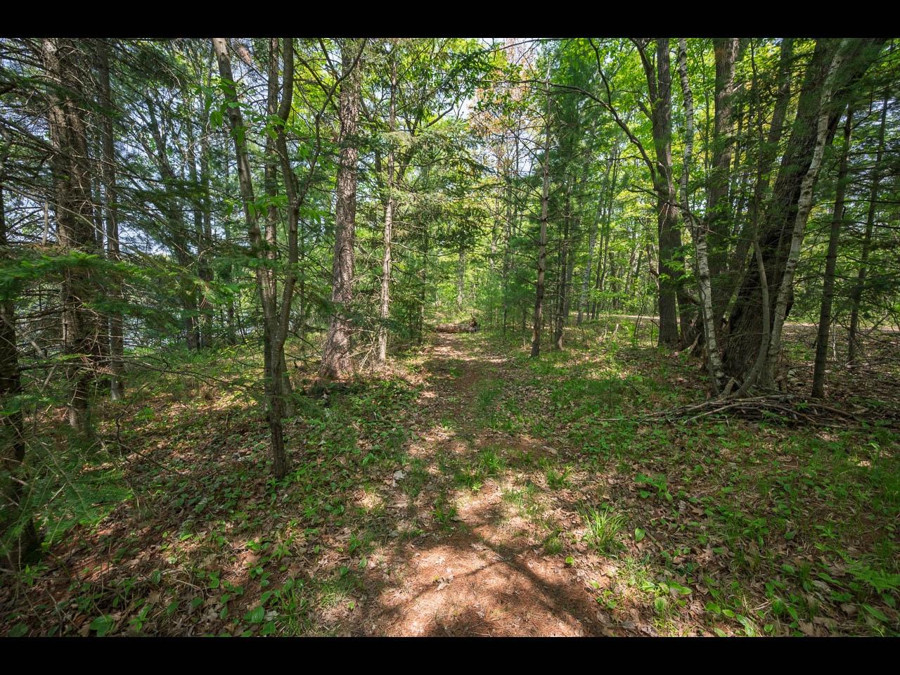 Clearwater Lake Property Lot 56 St Marys Rd Photo 6