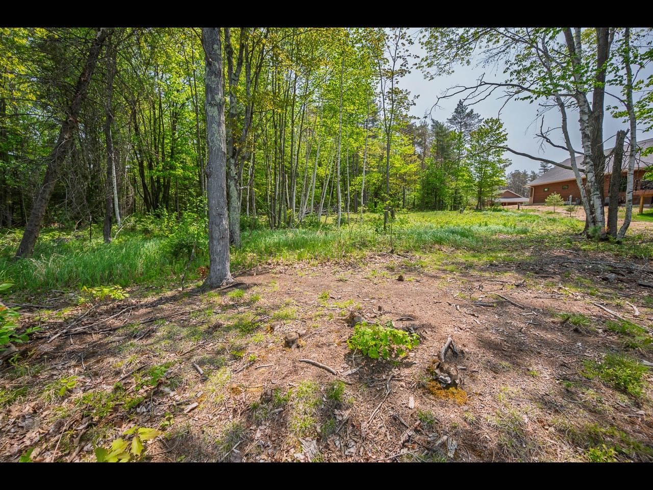 Clearwater Lake Property Lot 56 St Marys Rd Photo 9