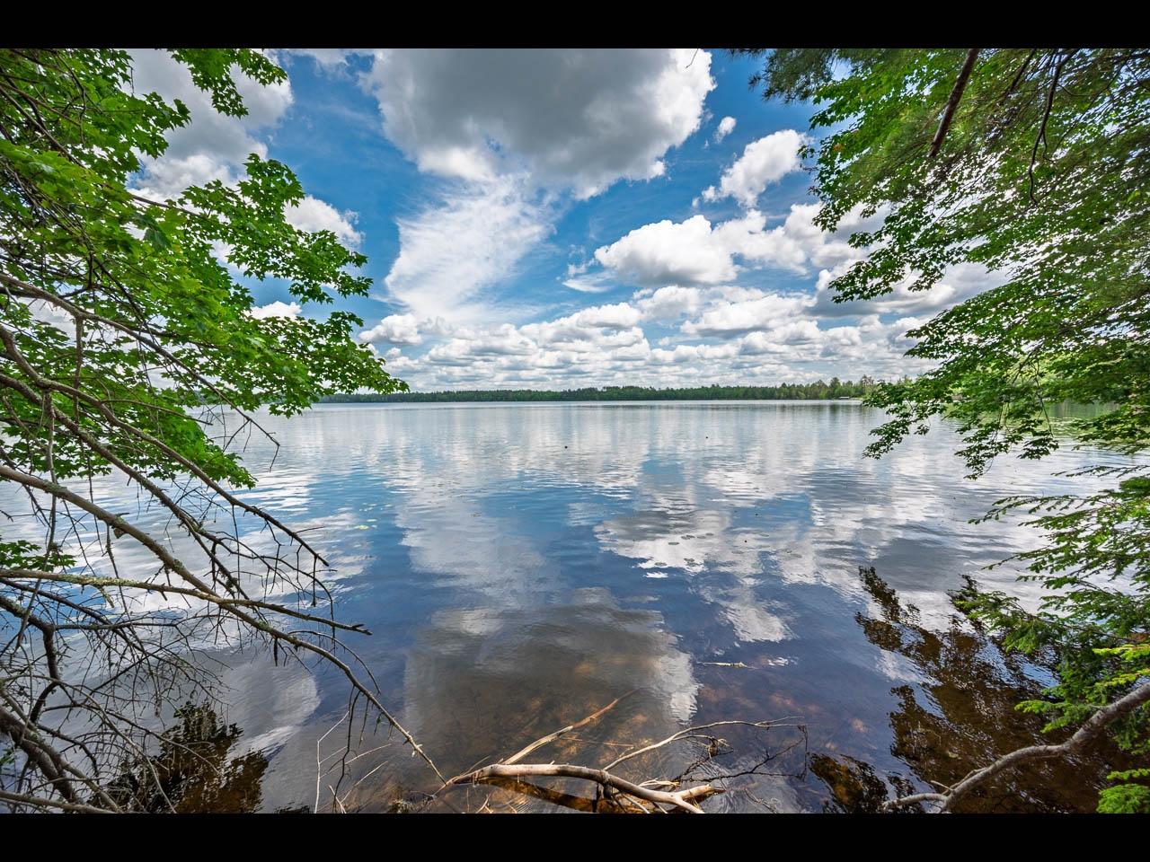 Clearwater Lake Property Lot 129 Clearwater Lake Tr Photo 3