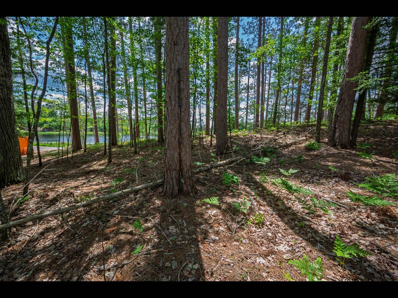 Clearwater Lake Property Lot 129 Clearwater Lake Tr Photo 6