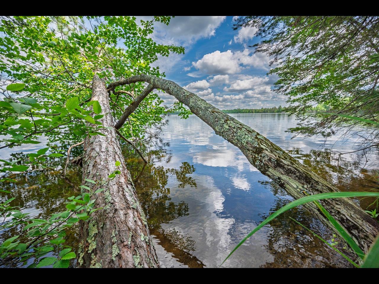 Clearwater Lake Property Lot 129 Clearwater Lake Tr Photo 9