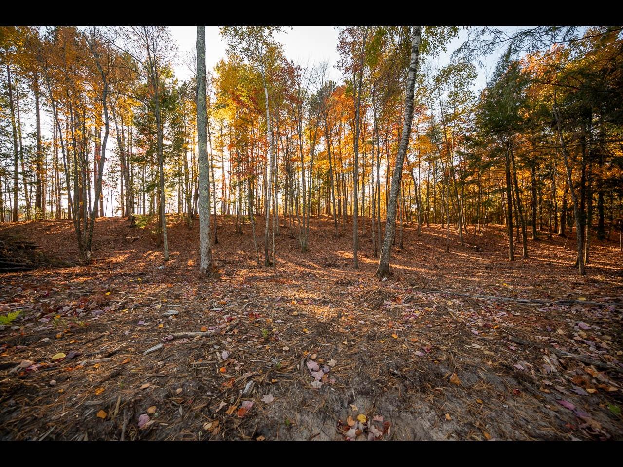 Clearwater Lake Property Lot 130 Clearwater Lake Tr Photo 10