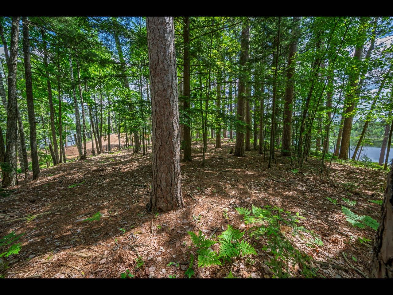 Clearwater Lake Property Lot 130 Clearwater Lake Tr Photo 14