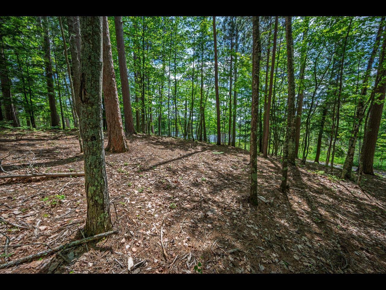 Clearwater Lake Property Lot 130 Clearwater Lake Tr Photo 15