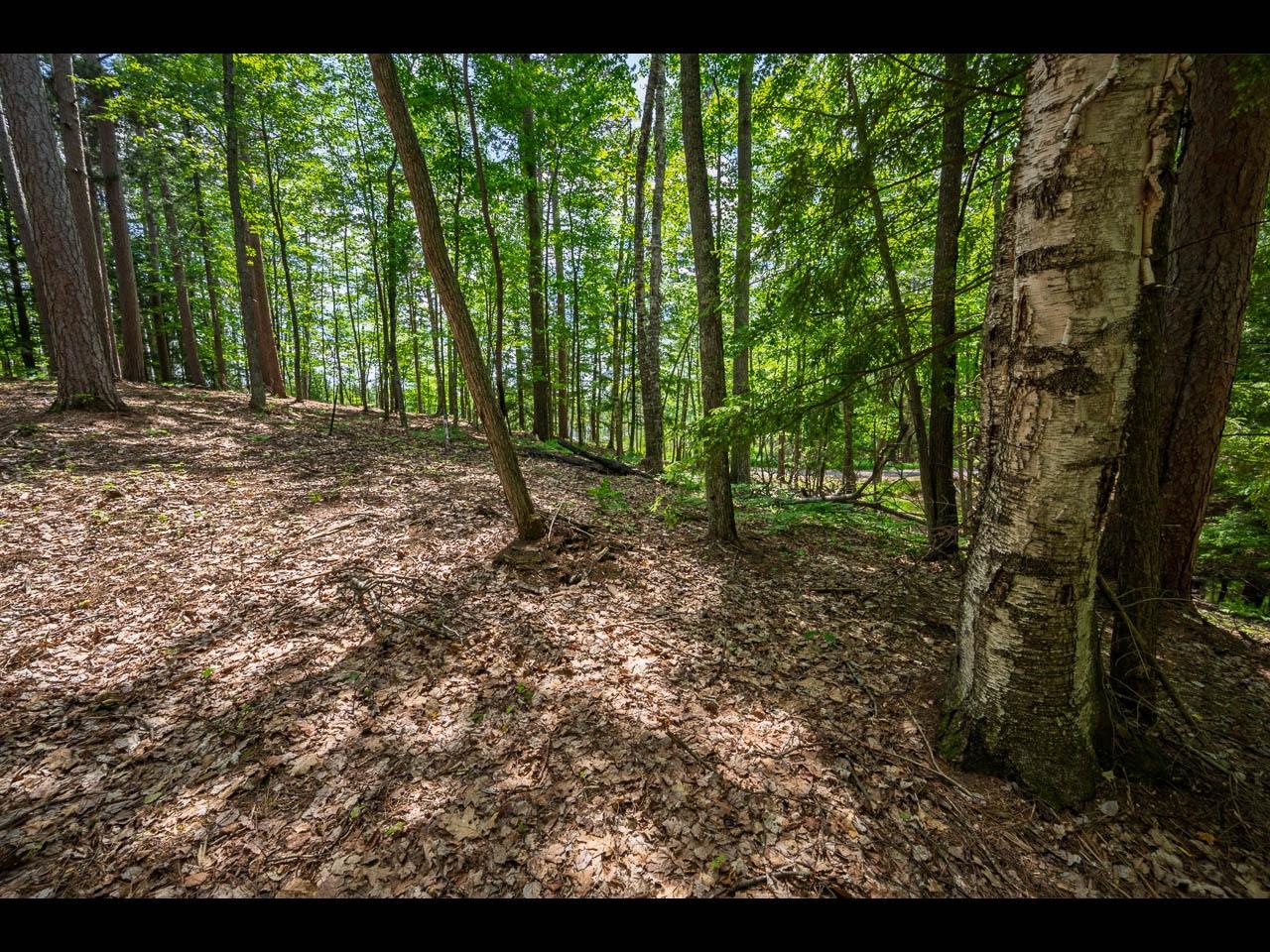 Clearwater Lake Property Lot 130 Clearwater Lake Tr Photo 16