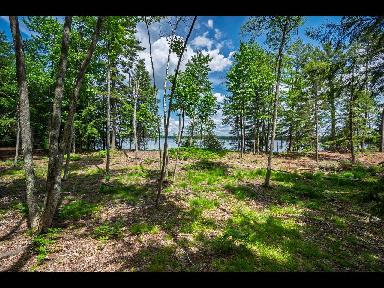 Clearwater Lake Property Lot 130 Clearwater Lake Tr Photo 3