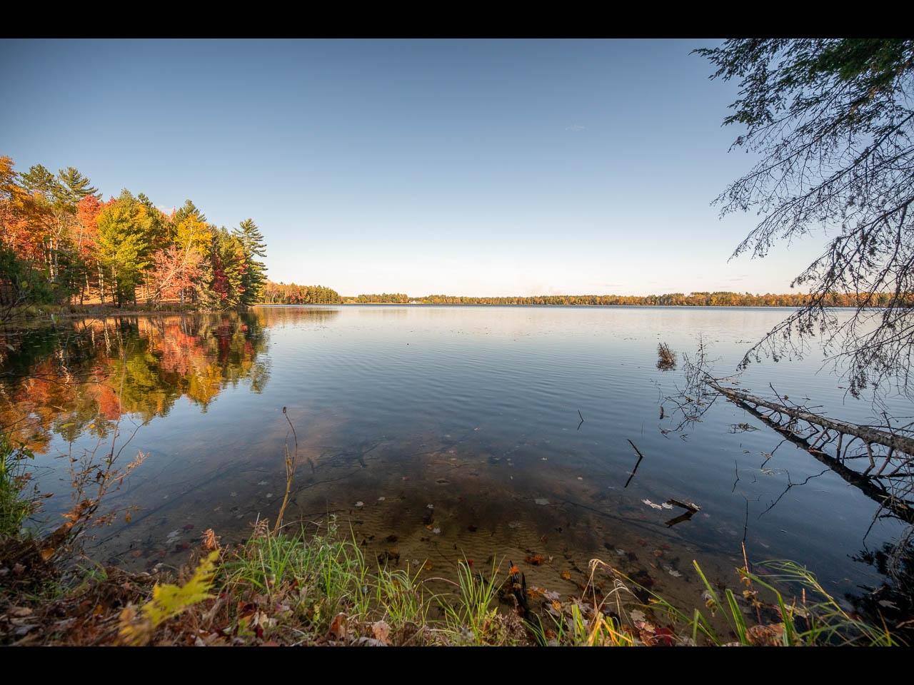 Clearwater Lake Property Lot 130 Clearwater Lake Tr Photo 5