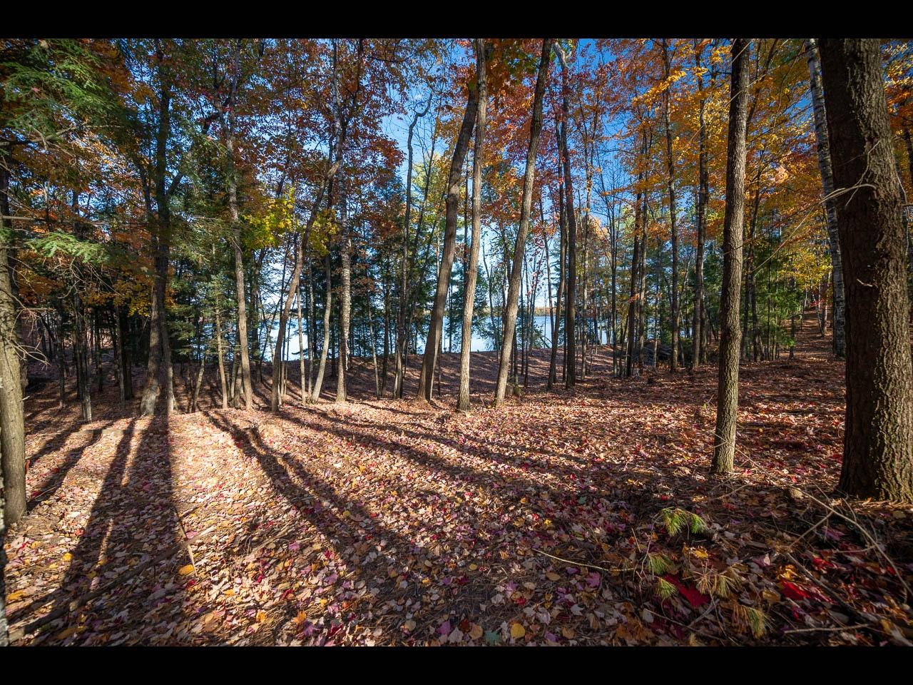 Clearwater Lake Property Lot 130 Clearwater Lake Tr Photo 7