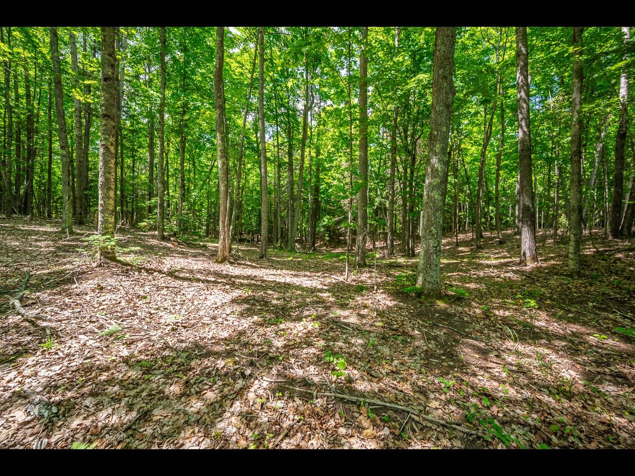 Clearwater Lake Property Lot 133 Clearwater Lake Tr Photo 12