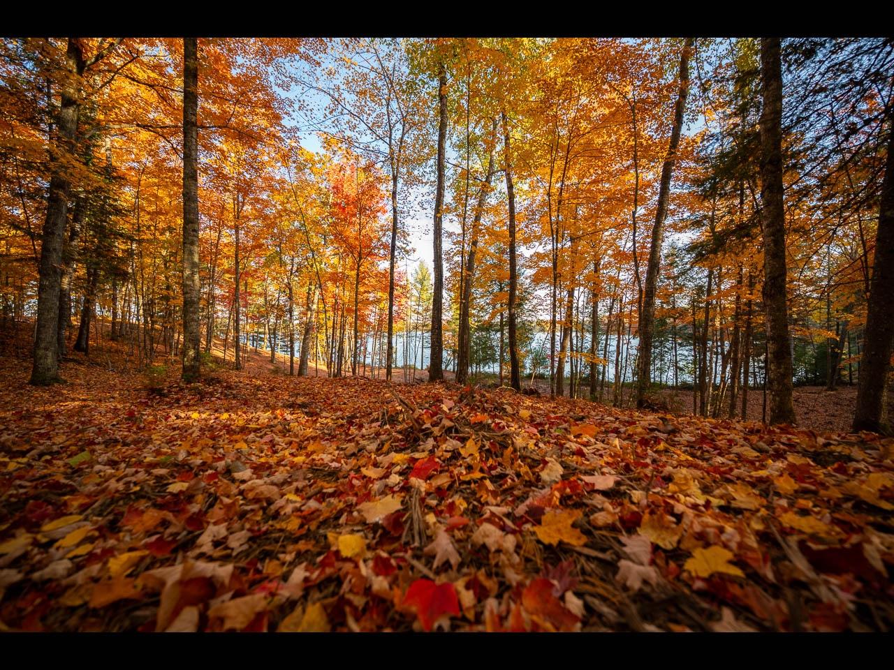 Clearwater Lake Property Lot 133 Clearwater Lake Tr Photo 6