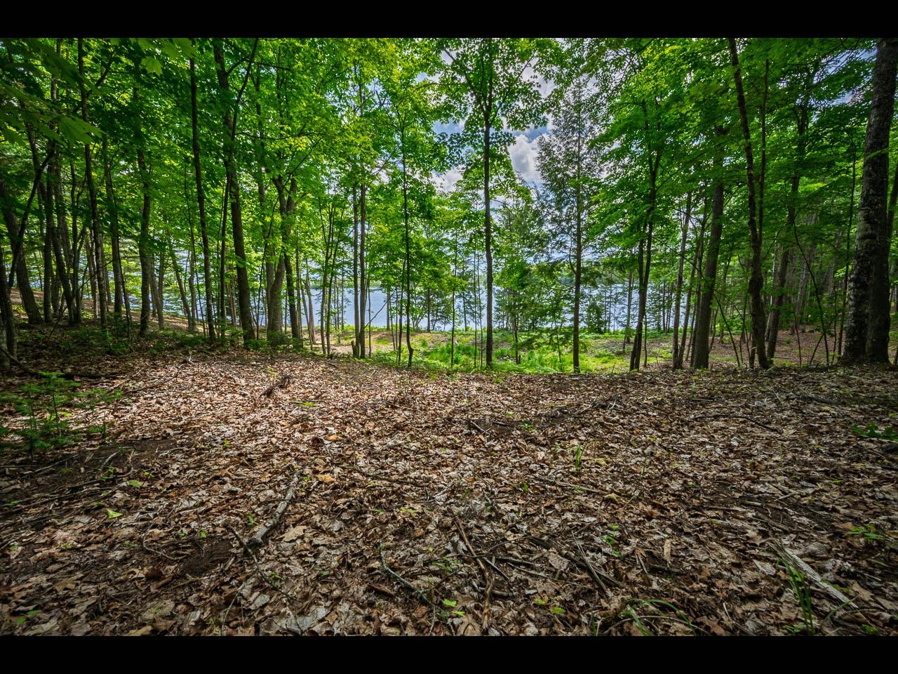 Clearwater Lake Property Lot 133 Clearwater Lake Tr Photo 8