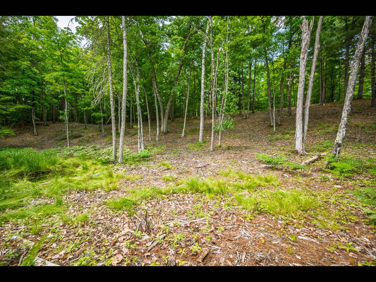 Clearwater Lake Property Lot 133 Clearwater Lake Tr Photo 9
