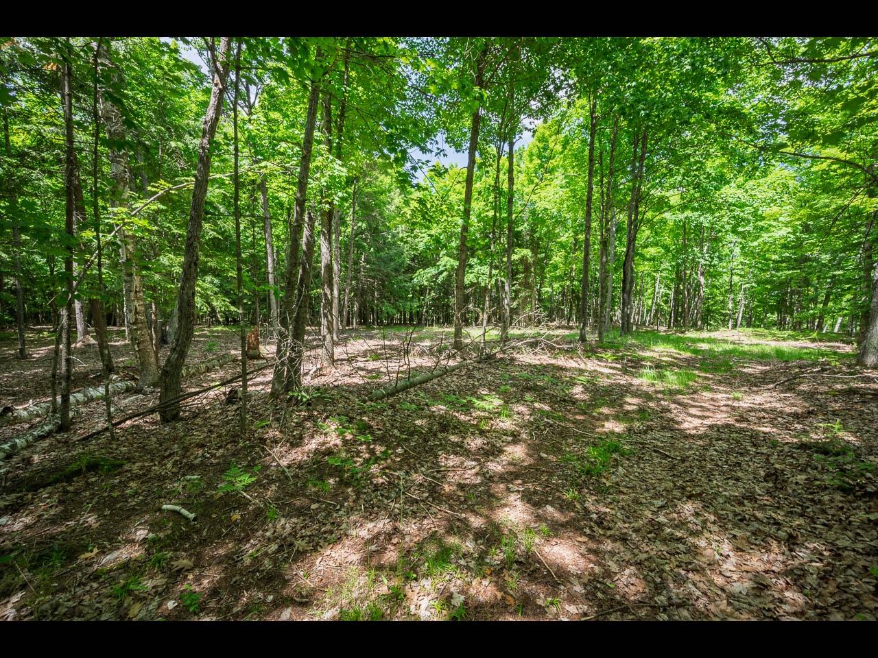 Clearwater Lake Property Lot 134 Clearwater Lake Tr Photo 11