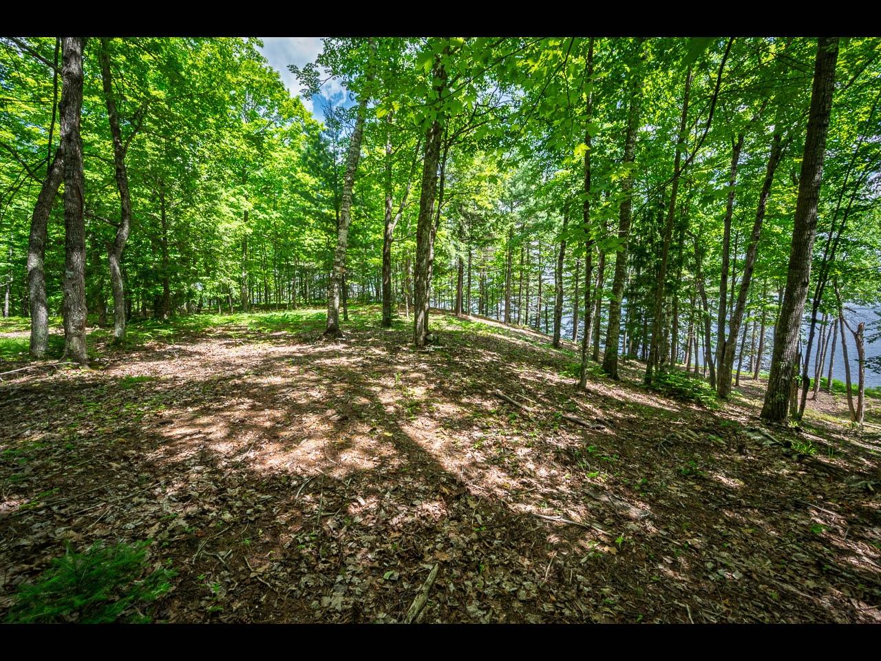 Clearwater Lake Property Lot 134 Clearwater Lake Tr Photo 12