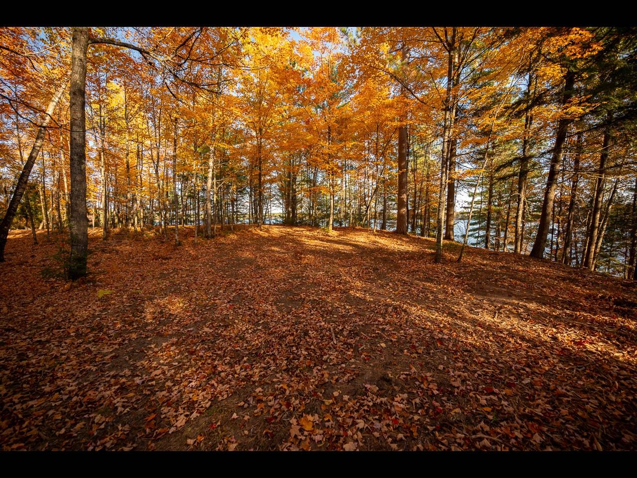 Clearwater Lake Property Lot 134 Clearwater Lake Tr Photo 3