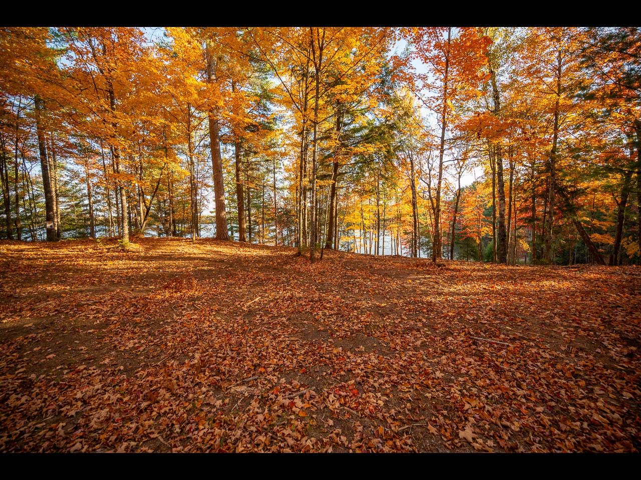 Clearwater Lake Property Lot 134 Clearwater Lake Tr Photo 5