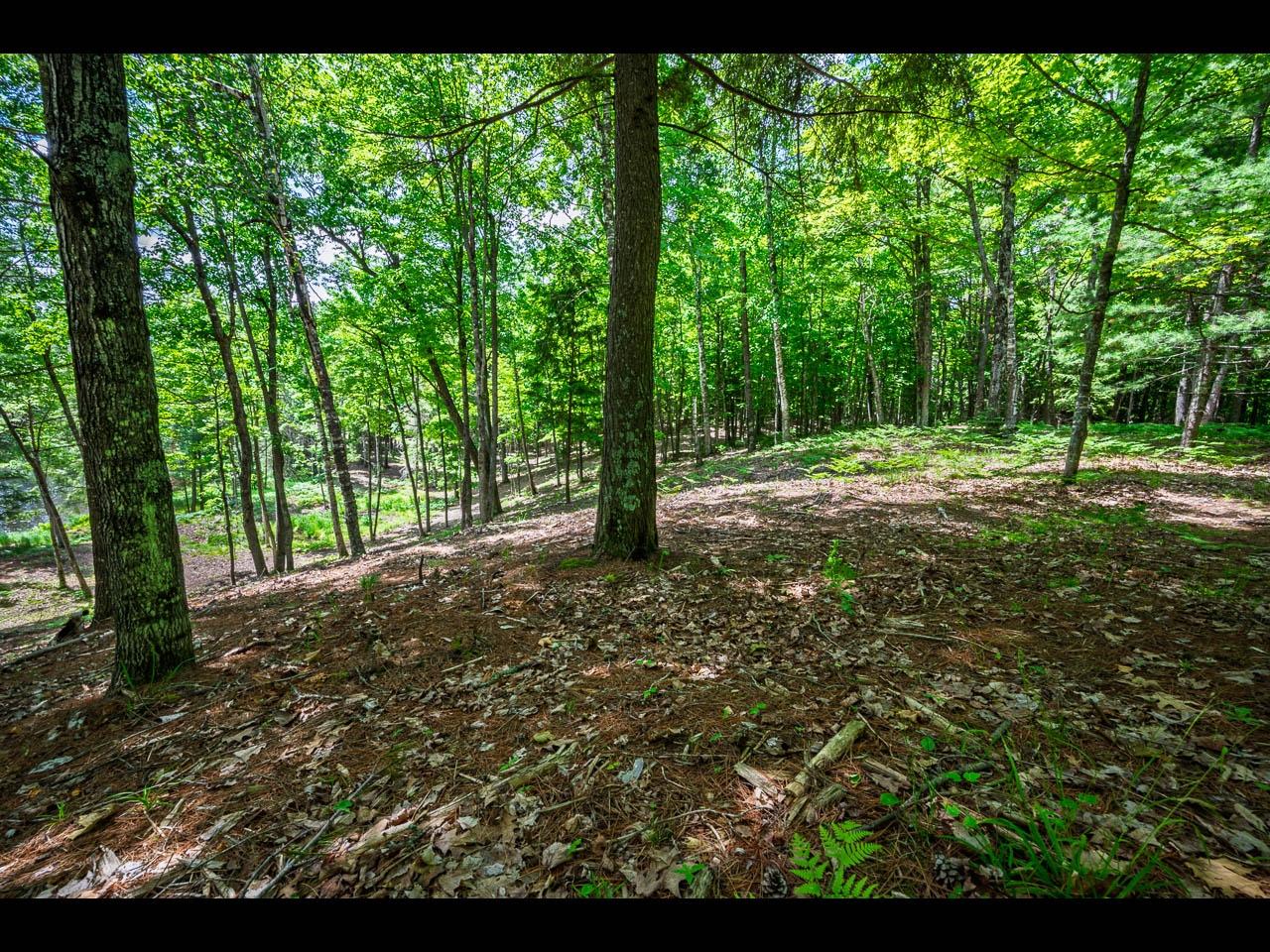 Clearwater Lake Property Lot 134 Clearwater Lake Tr Photo 7