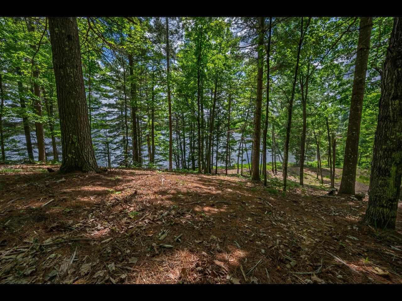 Clearwater Lake Property Lot 134 Clearwater Lake Tr Photo 8