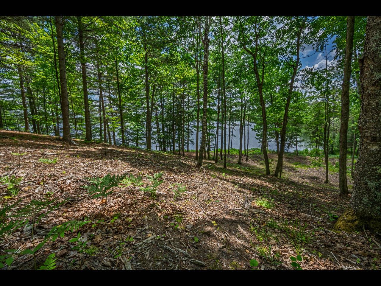 Clearwater Lake Property Lot 134 Clearwater Lake Tr Photo 9