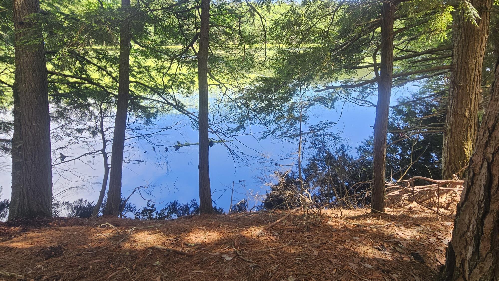 Big Lake Property Lot 1 Staehling Rd Photo 1