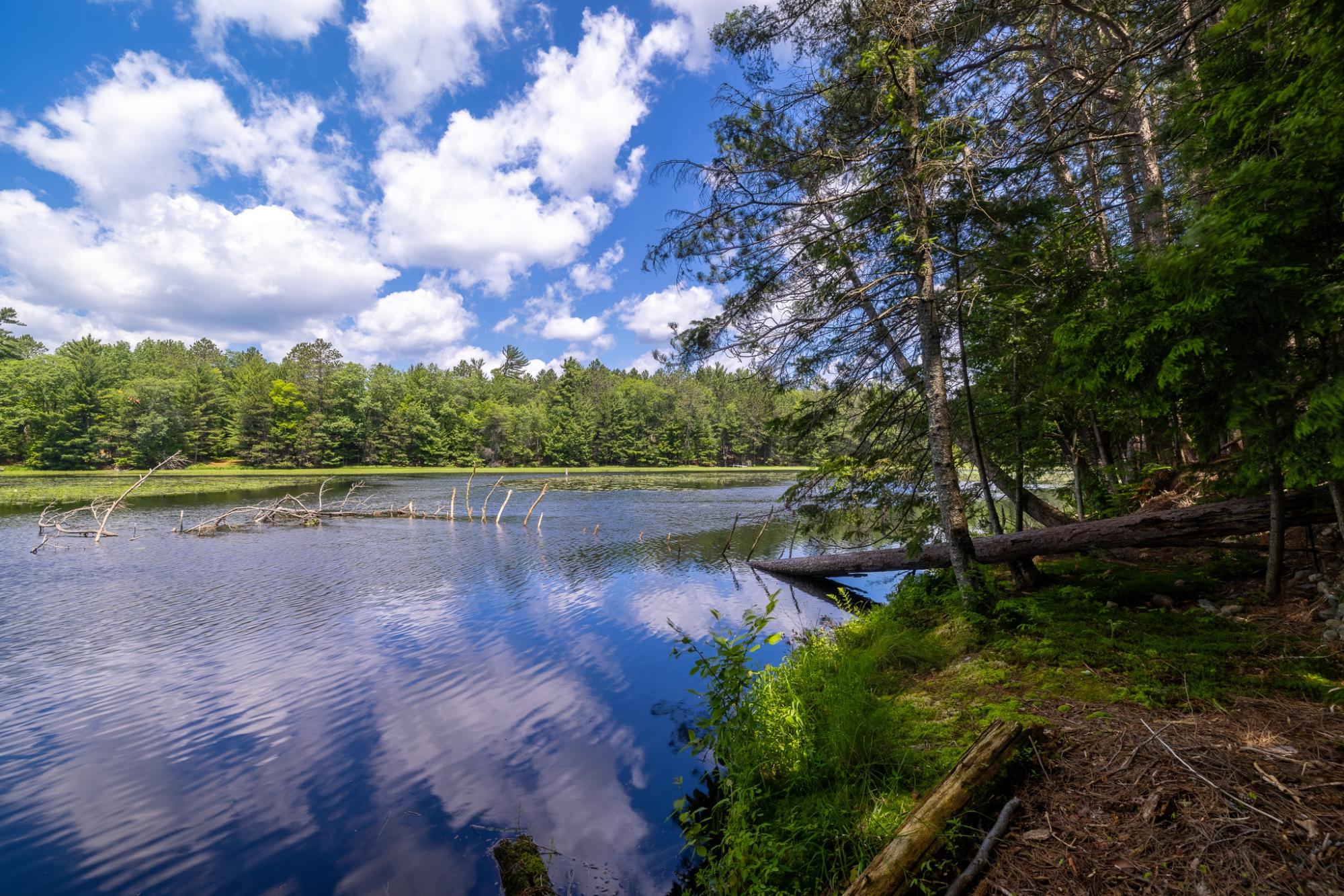 Big Lake Property Lot 2 Staehling Rd Photo 1
