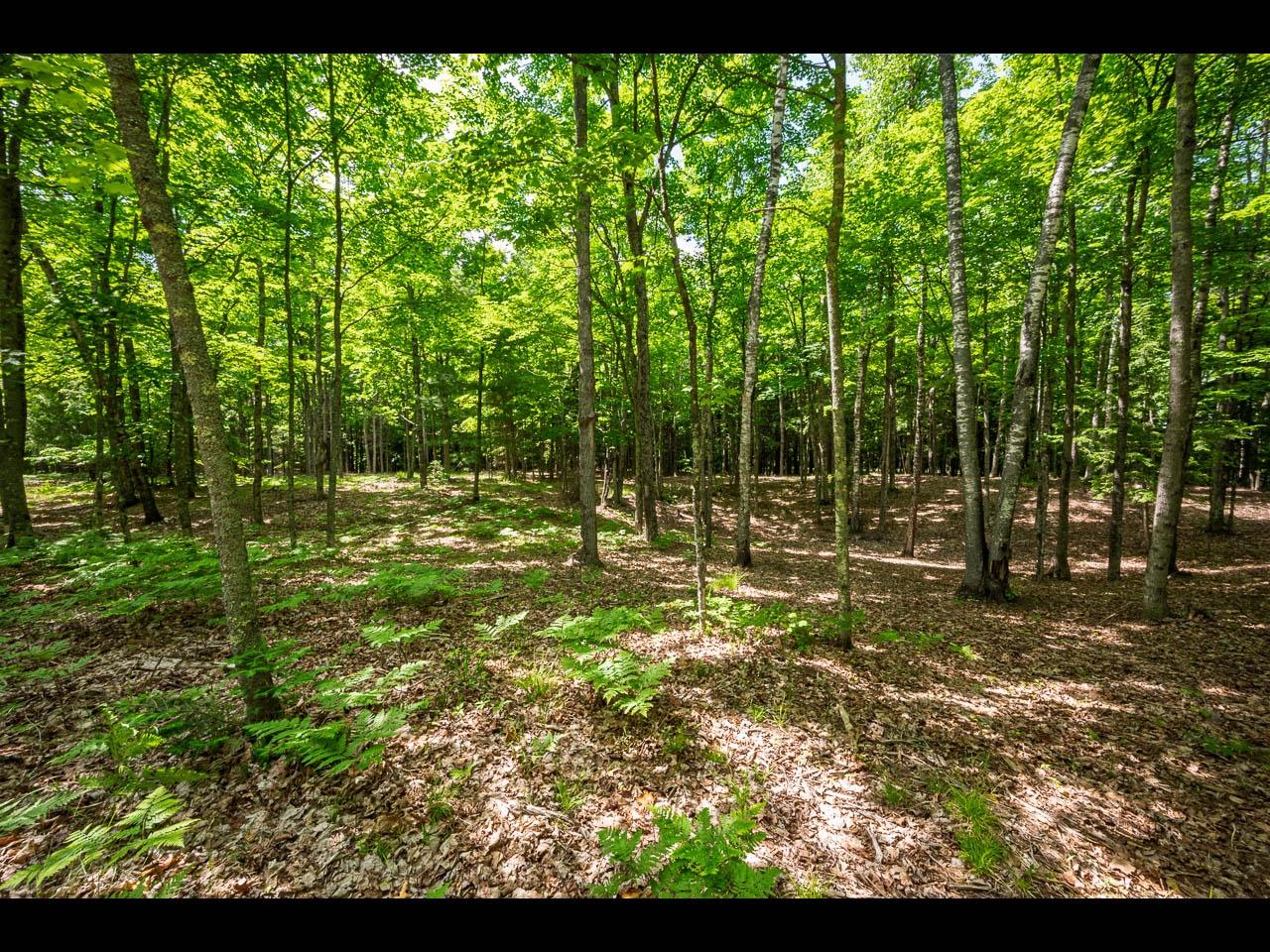 Clearwater Lake Property Lot 135 Clearwater Lake Tr Photo 10