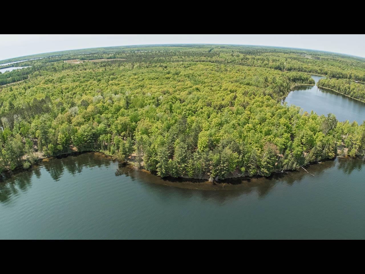 Clearwater Lake Property Lot 135 Clearwater Lake Tr Photo 13