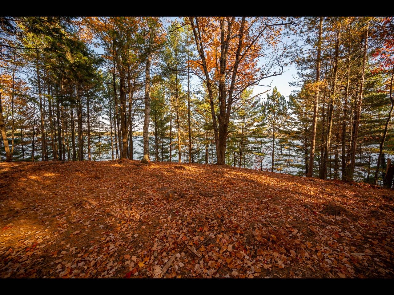 Clearwater Lake Property Lot 135 Clearwater Lake Tr Photo 3