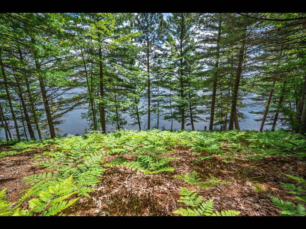 Clearwater Lake Property Lot 135 Clearwater Lake Tr Photo 6
