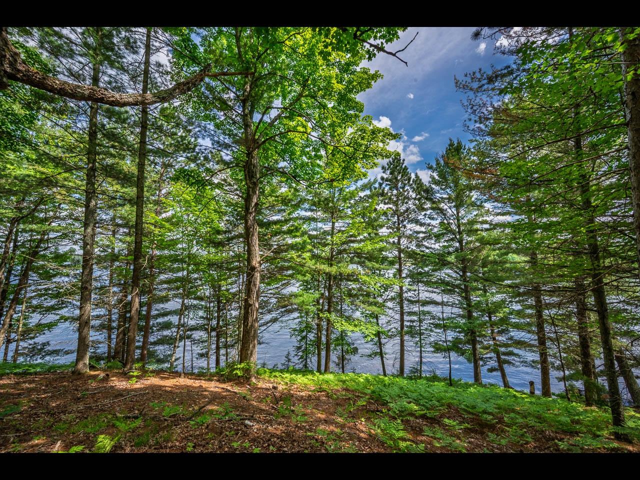 Clearwater Lake Property Lot 135 Clearwater Lake Tr Photo 7