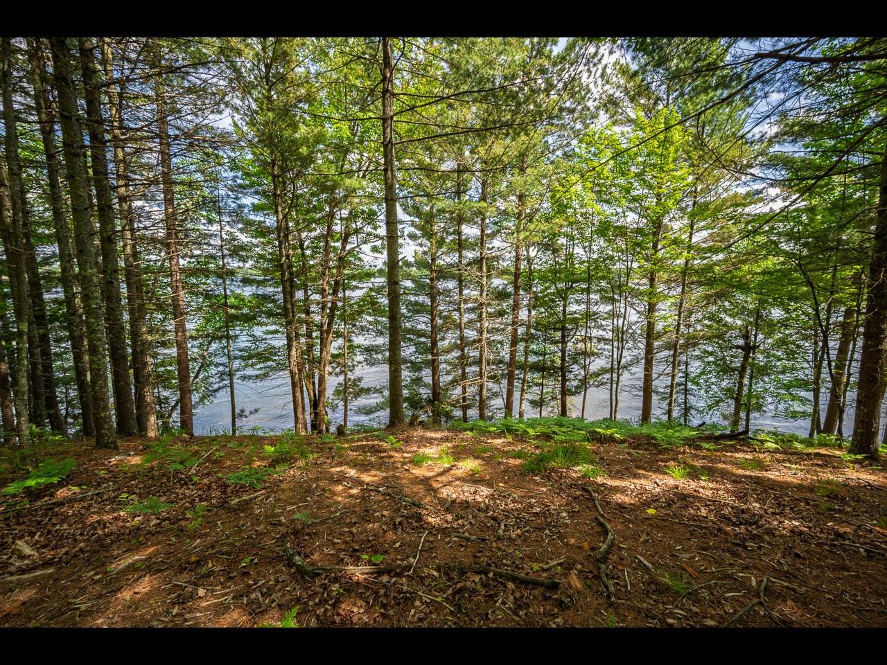 Clearwater Lake Property Lot 135 Clearwater Lake Tr Photo 8