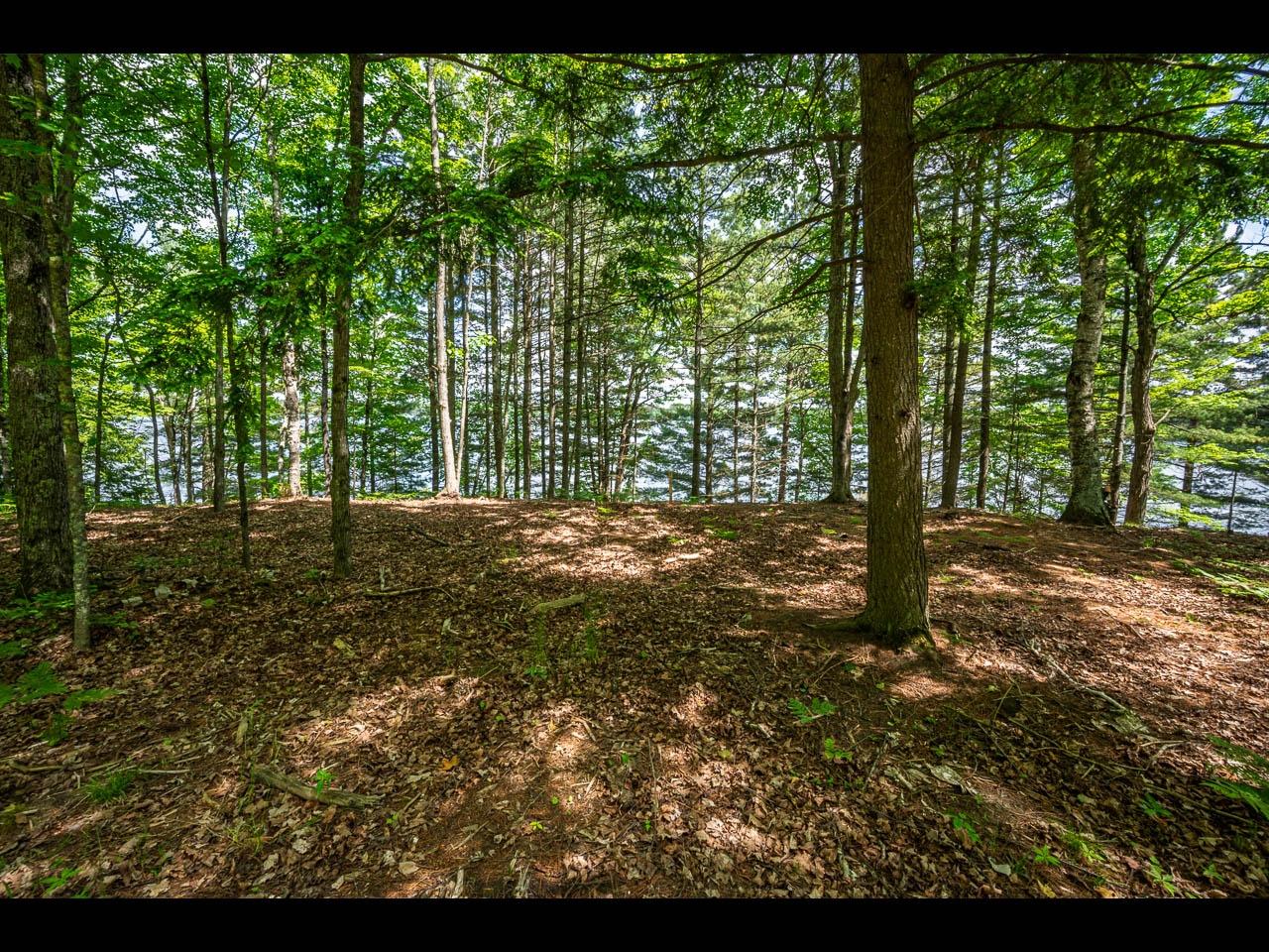 Clearwater Lake Property Lot 135 Clearwater Lake Tr Photo 9