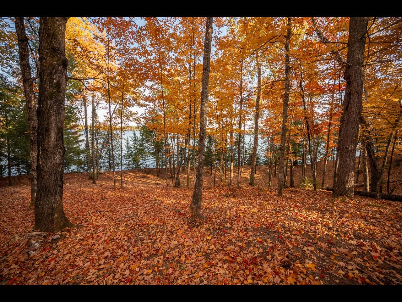 Clearwater Lake Property Lot 136 Clearwater Lake Tr Photo 10