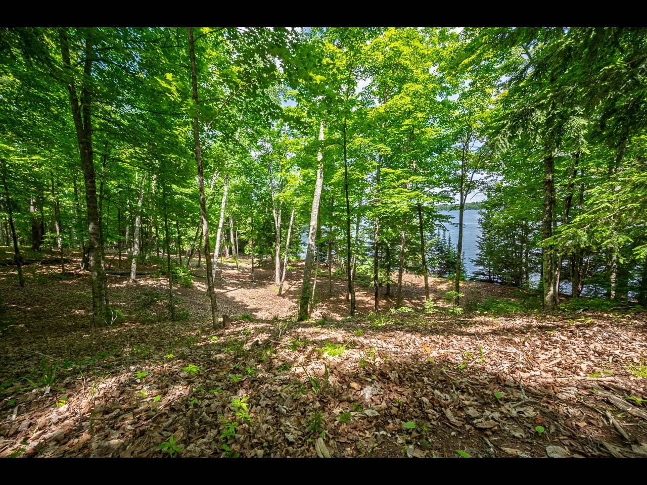 Clearwater Lake Property Lot 136 Clearwater Lake Tr Photo 3