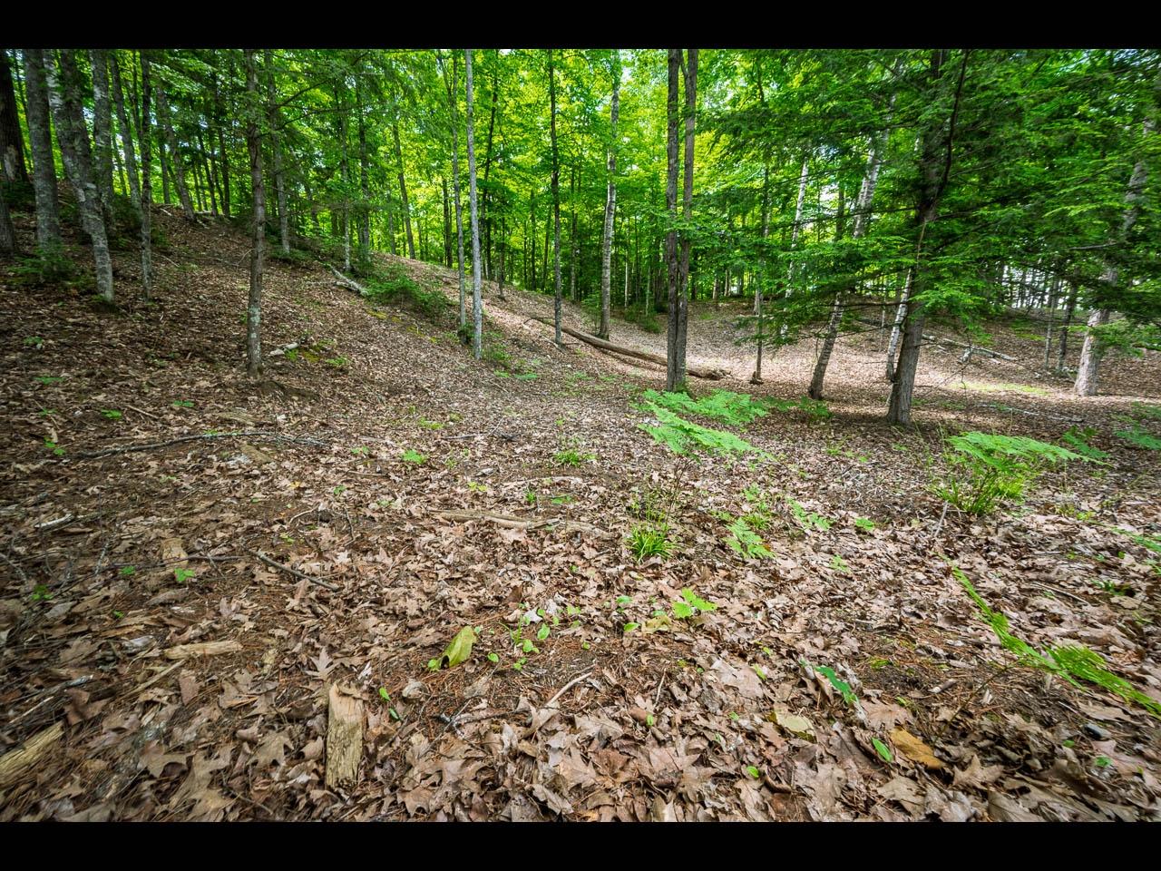 Clearwater Lake Property Lot 136 Clearwater Lake Tr Photo 5