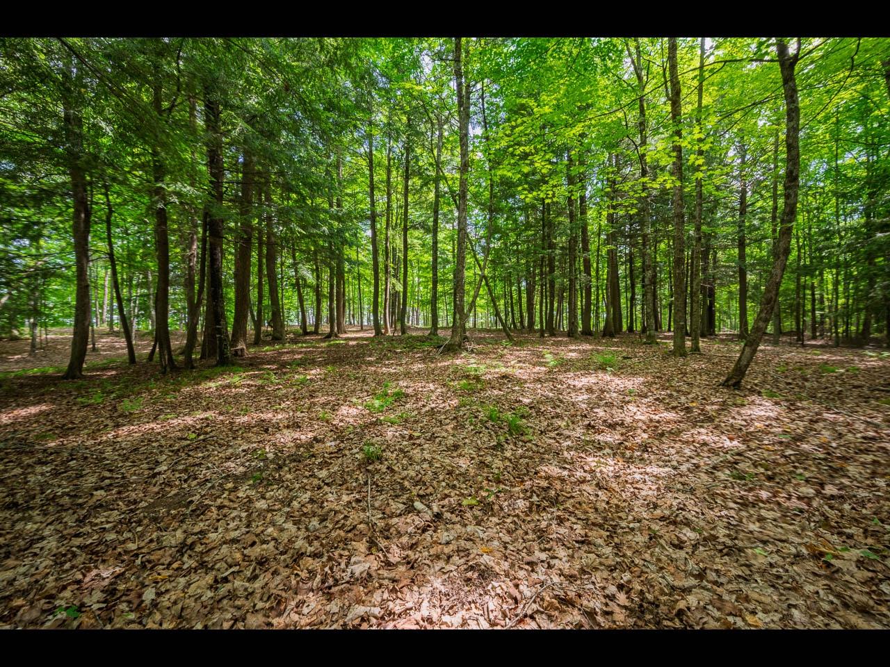 Clearwater Lake Property Lot 136 Clearwater Lake Tr Photo 7