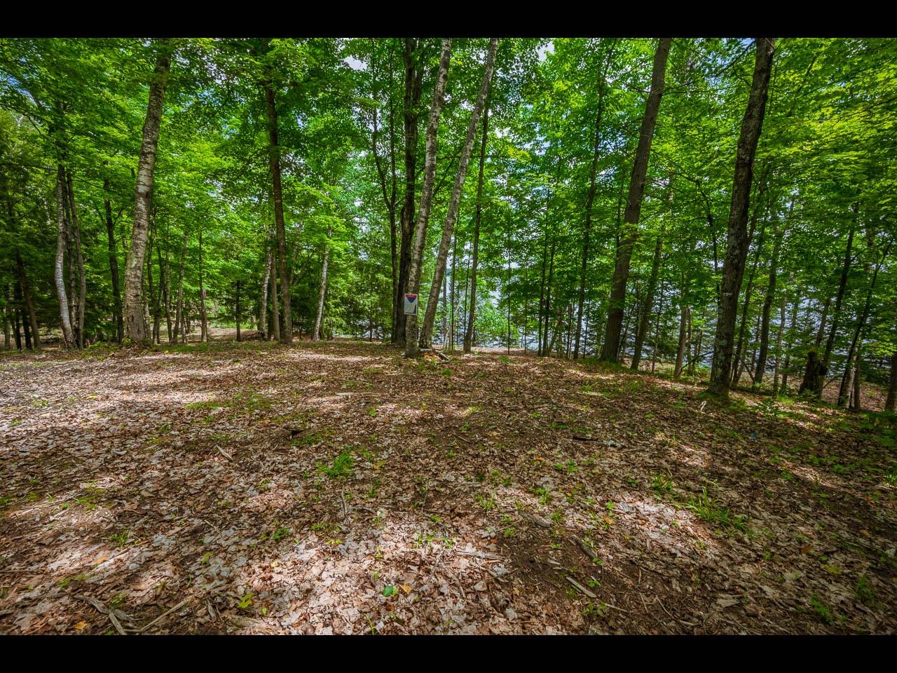 Clearwater Lake Property Lot 137 Clearwater Lake Tr Photo 11