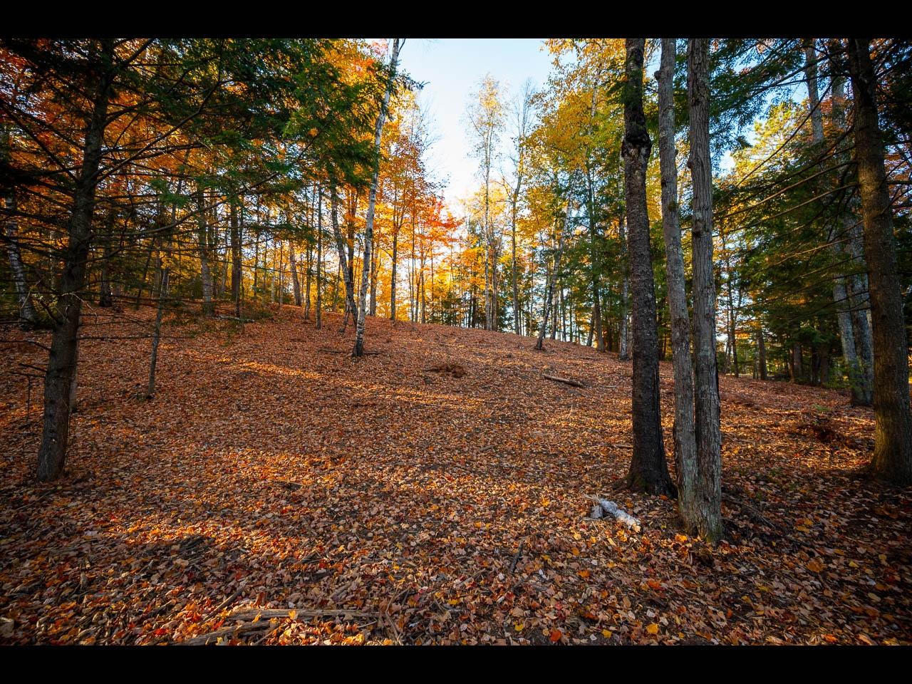 Clearwater Lake Property Lot 137 Clearwater Lake Tr Photo 4