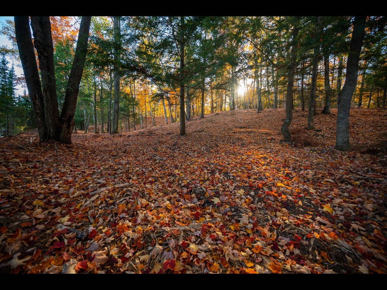 Clearwater Lake Property Lot 137 Clearwater Lake Tr Photo 6