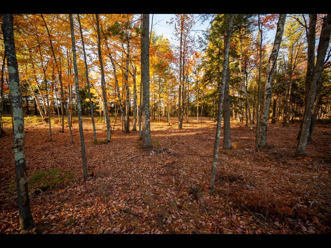 Clearwater Lake Property Lot 138 Clearwater Lake Tr Photo 10